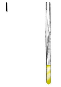 Forcep 