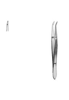 Forcep 