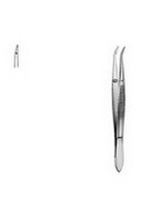 Forcep 