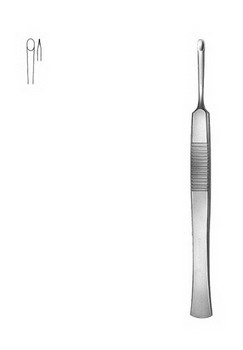 Rhinology  