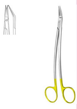 Gum Scissors Locklin CM