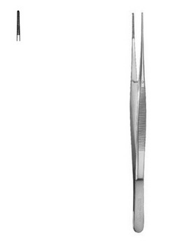Dressing Forceps Taylor CM