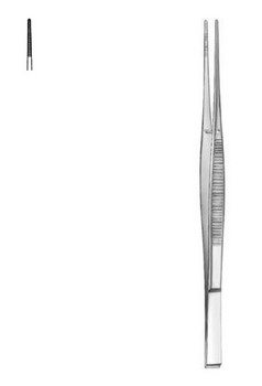 Dressing Forceps Taylor CM