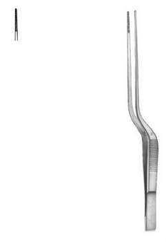 Dressing Forceps Taylor CM