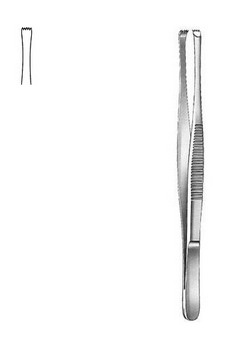 Dissecting Forceps Stone CM