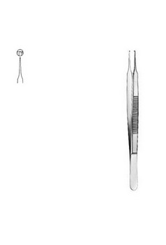 Dissecting Forceps CM