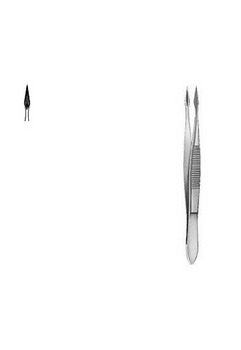 Splinter Forceps Hunter CM