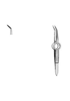 Splinter Forceps Shaaf CM