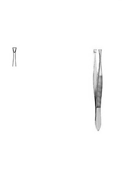 Cilia Forceps Littauer CM