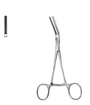 Cardiovascular Surgery