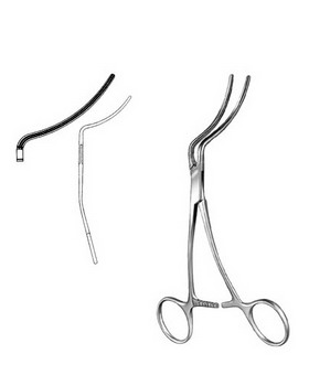 Cardiovascular Surgery