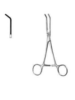 Cardiovascular Surgery