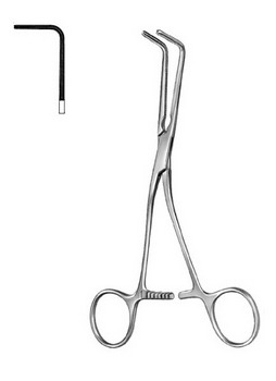 Cardiovascular Surgery