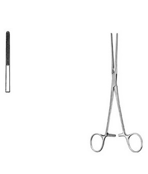 Cardiovascular Surgery