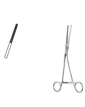 Cardiovascular Surgery