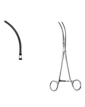 Cardiovascular Surgery