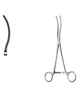 Cardiovascular Surgery