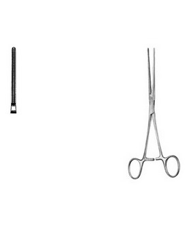 Cardiovascular Surgery