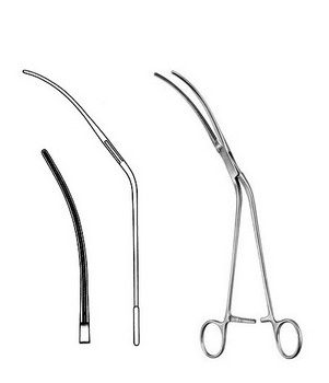 Cardiovascular Surgery