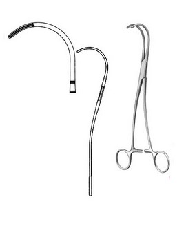 Cardiovascular Surgery