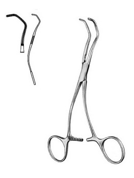 Cardiovascular Surgery