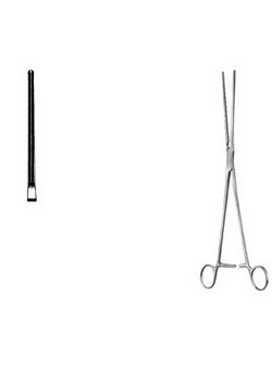 Cardiovascular Surgery