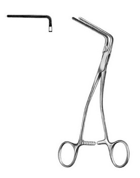 Cardiovascular Surgery