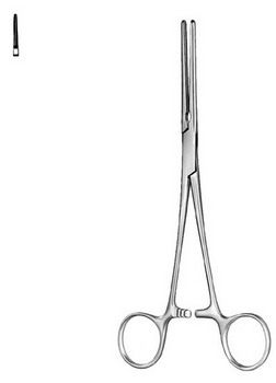 Cardiovascular Surgery