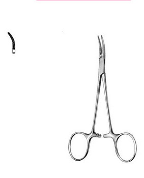 Cardiovascular Surgery