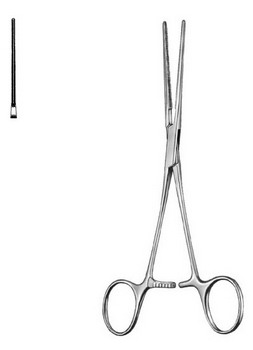 Cardiovascular Surgery