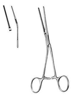 Cardiovascular Surgery