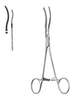 Cardiovascular Surgery