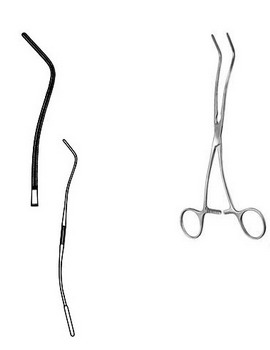 Cardiovascular Surgery