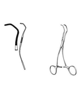 Cardiovascular Surgery