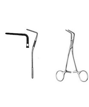 Cardiovascular Surgery