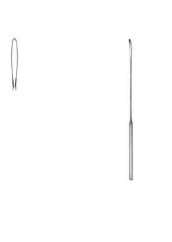 Cardiovascular Surgery