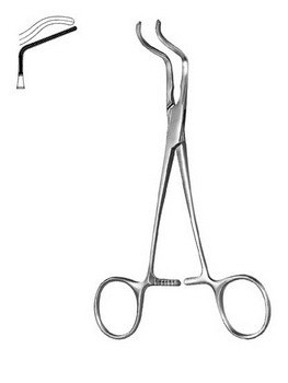 Cardiovascular Surgery