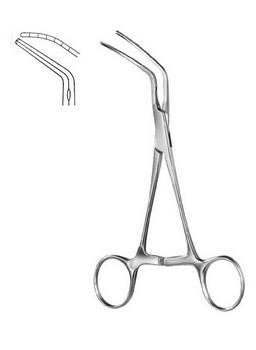 Cardiovascular Surgery