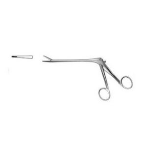 Eurosurgery, Laminectomy