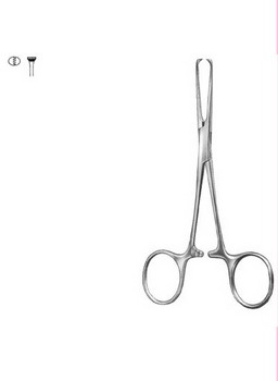 Stomach, Intestines, Rectum