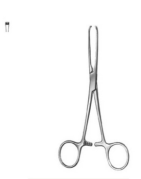 Stomach, Intestines, Rectum