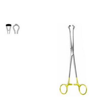 Stomach, Intestines, Rectum