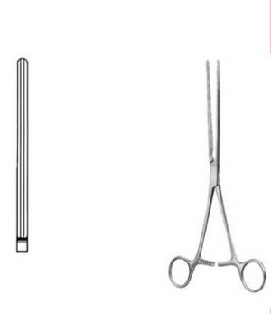 Stomach, Intestines, Rectum