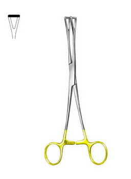 Stomach, Intestines, Rectum