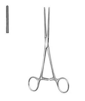 Stomach, Intestines, Rectum