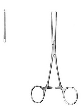 Stomach, Intestines, Rectum