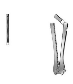 Stomach, Intestines, Rectum