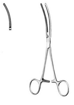 Stomach, Intestines, Rectum