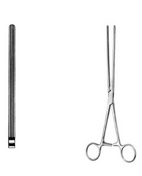 Stomach, Intestines, Rectum