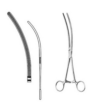 Stomach, Intestines, Rectum